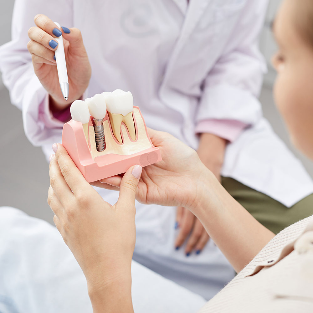 A dental professional demonstrating oral hygiene using a model mouth with dental tools and a patient s hand holding a toothbrush.